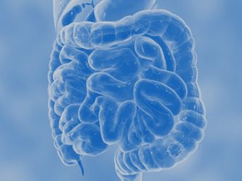 17 Παρασύρης Επεμβάσεις 17